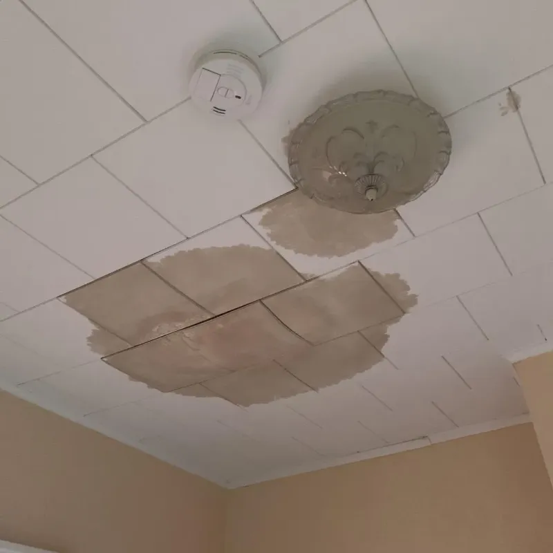Ceiling Water Damage Repair in Aurora, MN