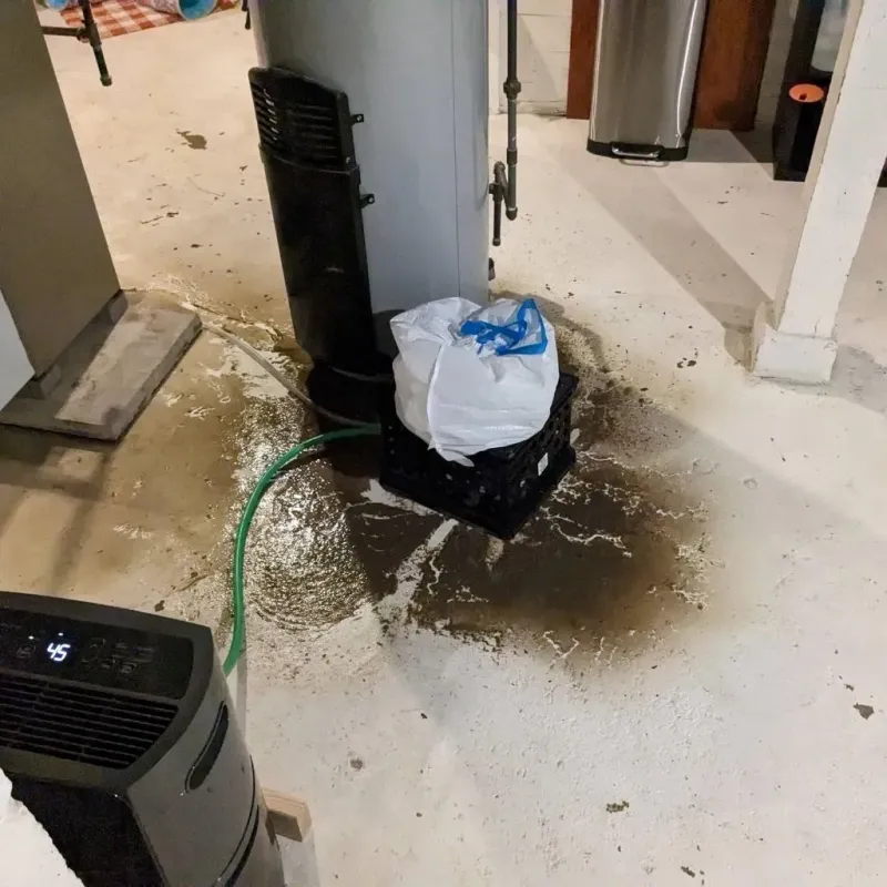 Sewage Backup Cleanup Service in Aurora, MN